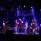 "Two-defined" das Ensemble mit Michi Scheed